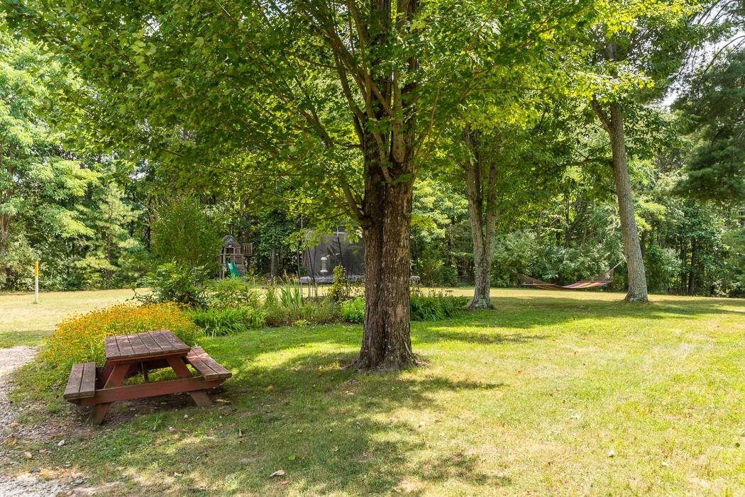170 Old Back Road Raphine, VA 24472 - Photo 24 of 66 a backyard of a house with lots of green space