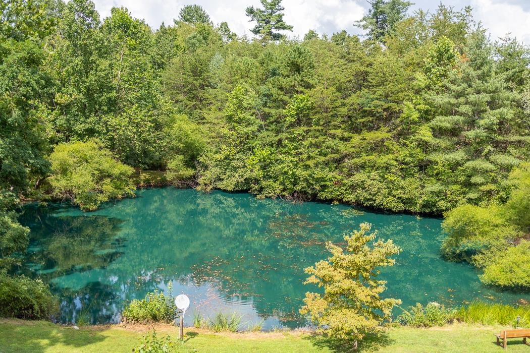 170 Old Back Road Raphine, VA 24472 - Photo 64 of 66 a view of a garden with a lake