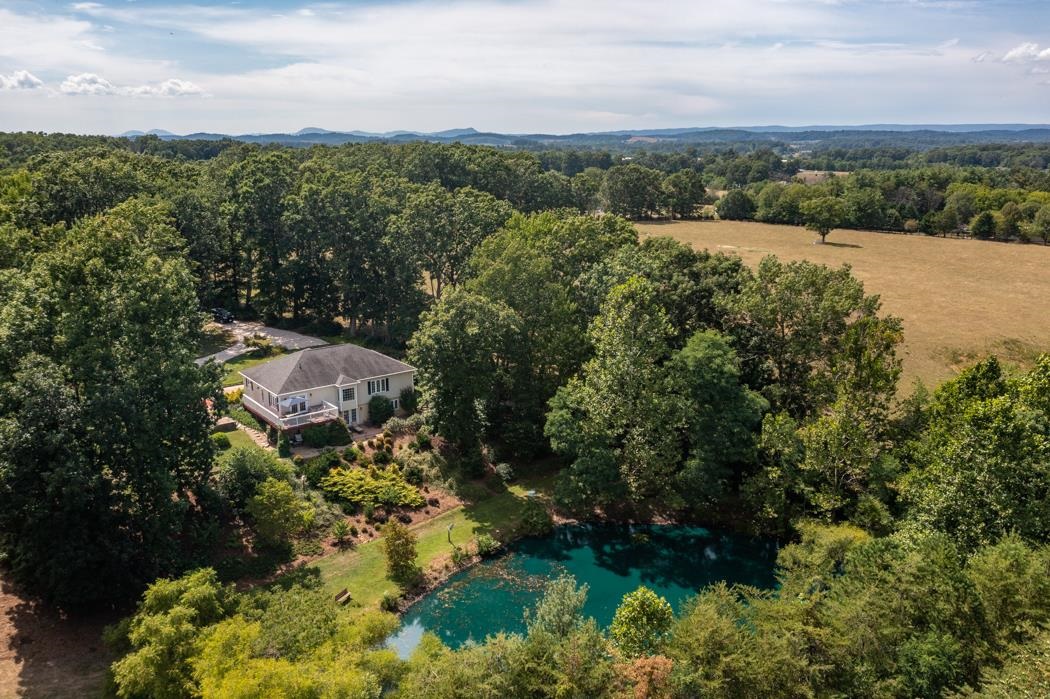 170 Old Back Road Raphine, VA 24472 - Photo 8 of 66 an aerial view of a houses with outdoor space and trees all around