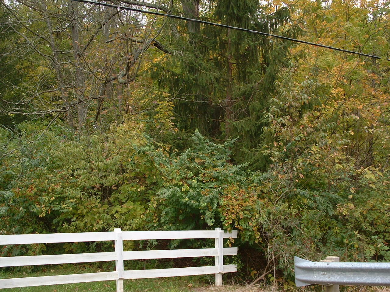 0 Spencerville Road Lima, OH 45806 - Photo 5 of 5