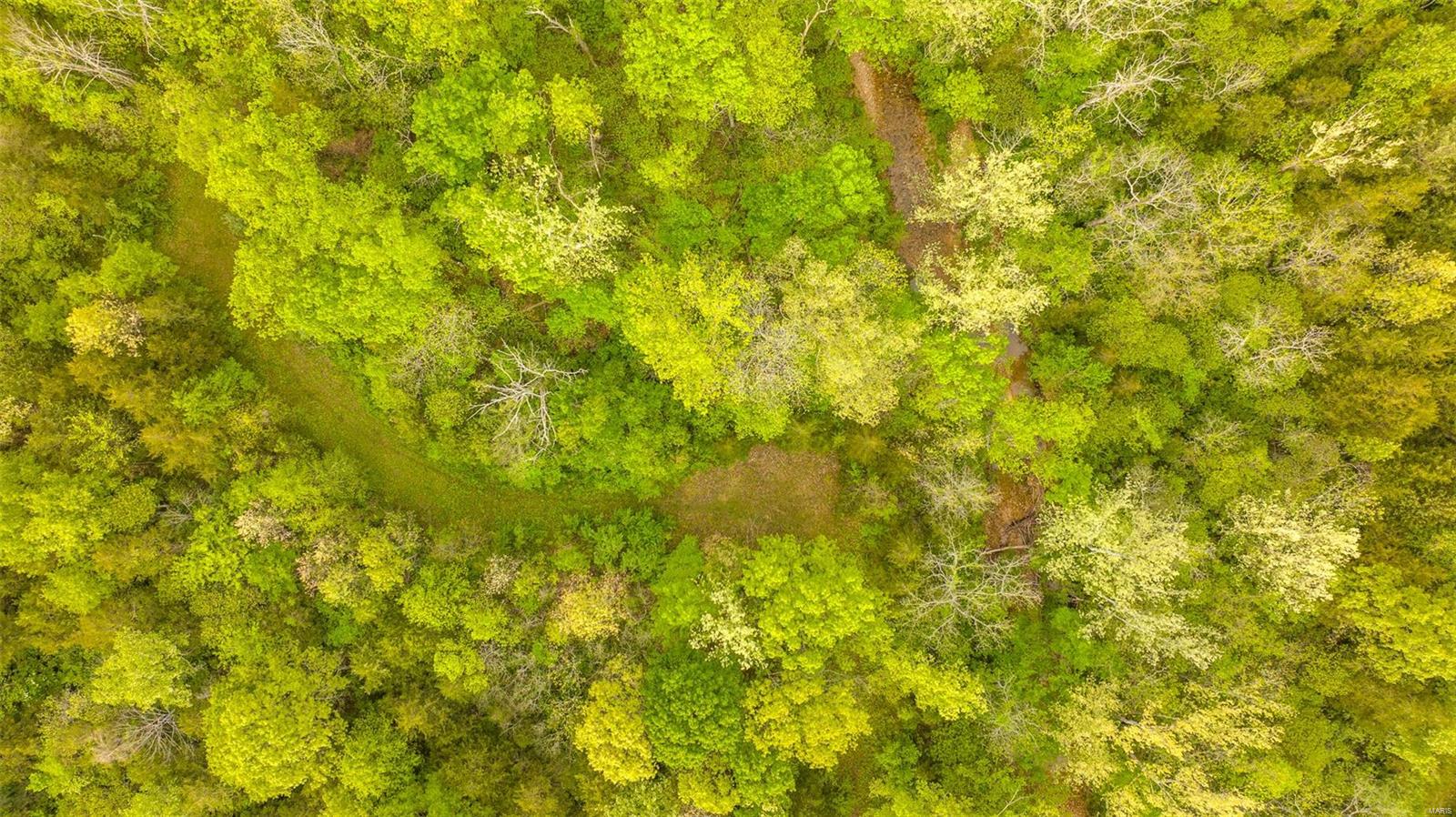 0 Tappmeyer Road Owensville, MO 65066 - Photo 16 of 60