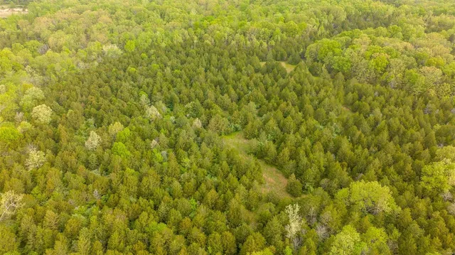 $416,500 | 0 Tappmeyer Road, Owensville, MO 65066