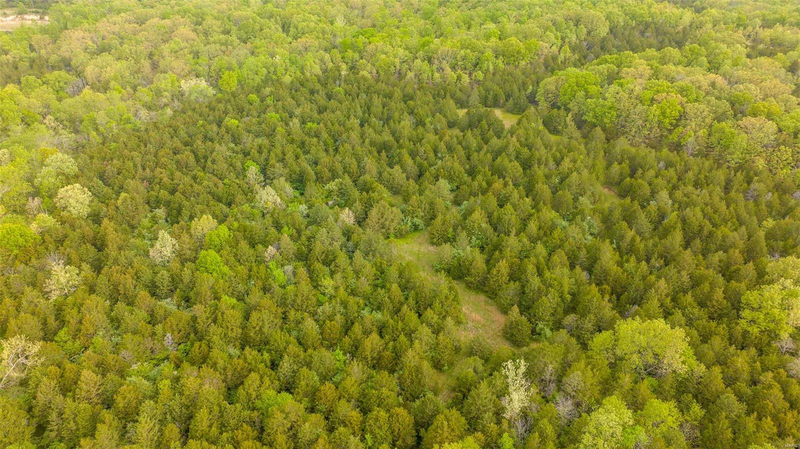 0 Tappmeyer Road Owensville, MO 65066 - Photo 19 of 60