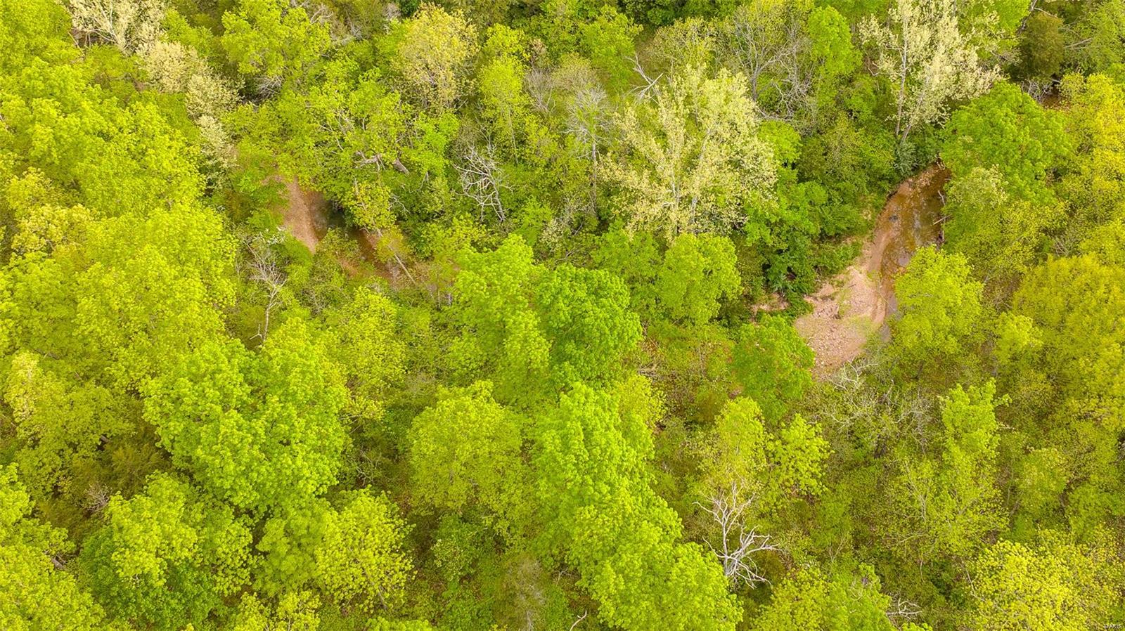 0 Tappmeyer Road Owensville, MO 65066 - Photo 20 of 60