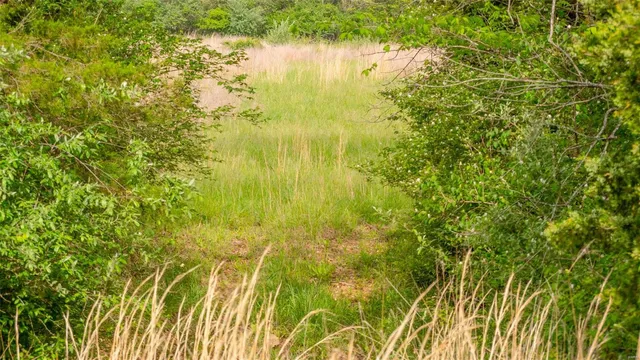 $416,500 | 0 Tappmeyer Road, Owensville, MO 65066