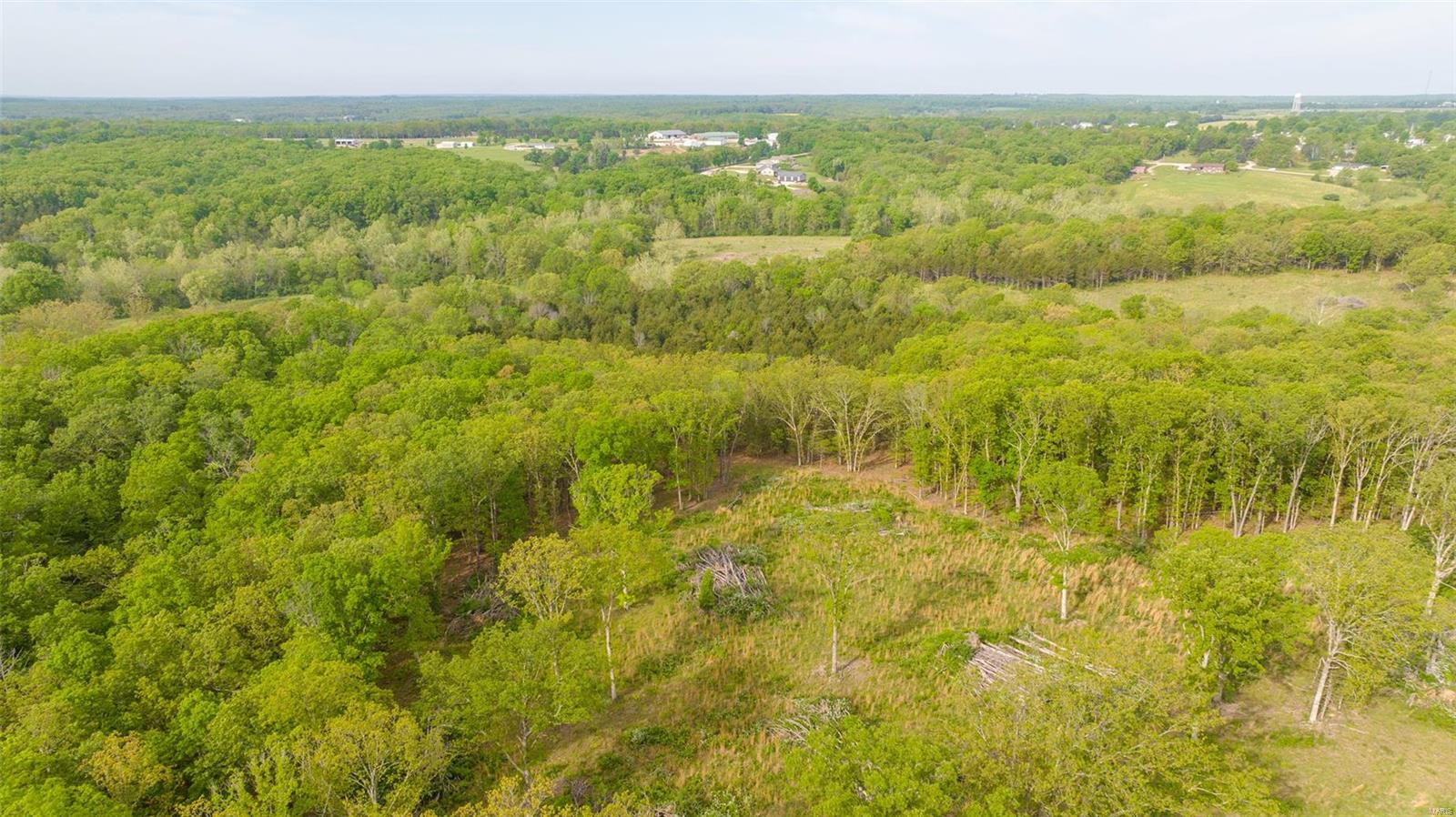 0 Tappmeyer Road Owensville, MO 65066 - Photo 3 of 60