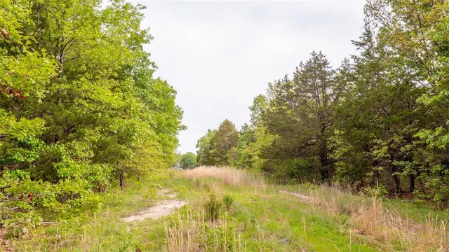 $416,500 | 0 Tappmeyer Road, Owensville, MO 65066