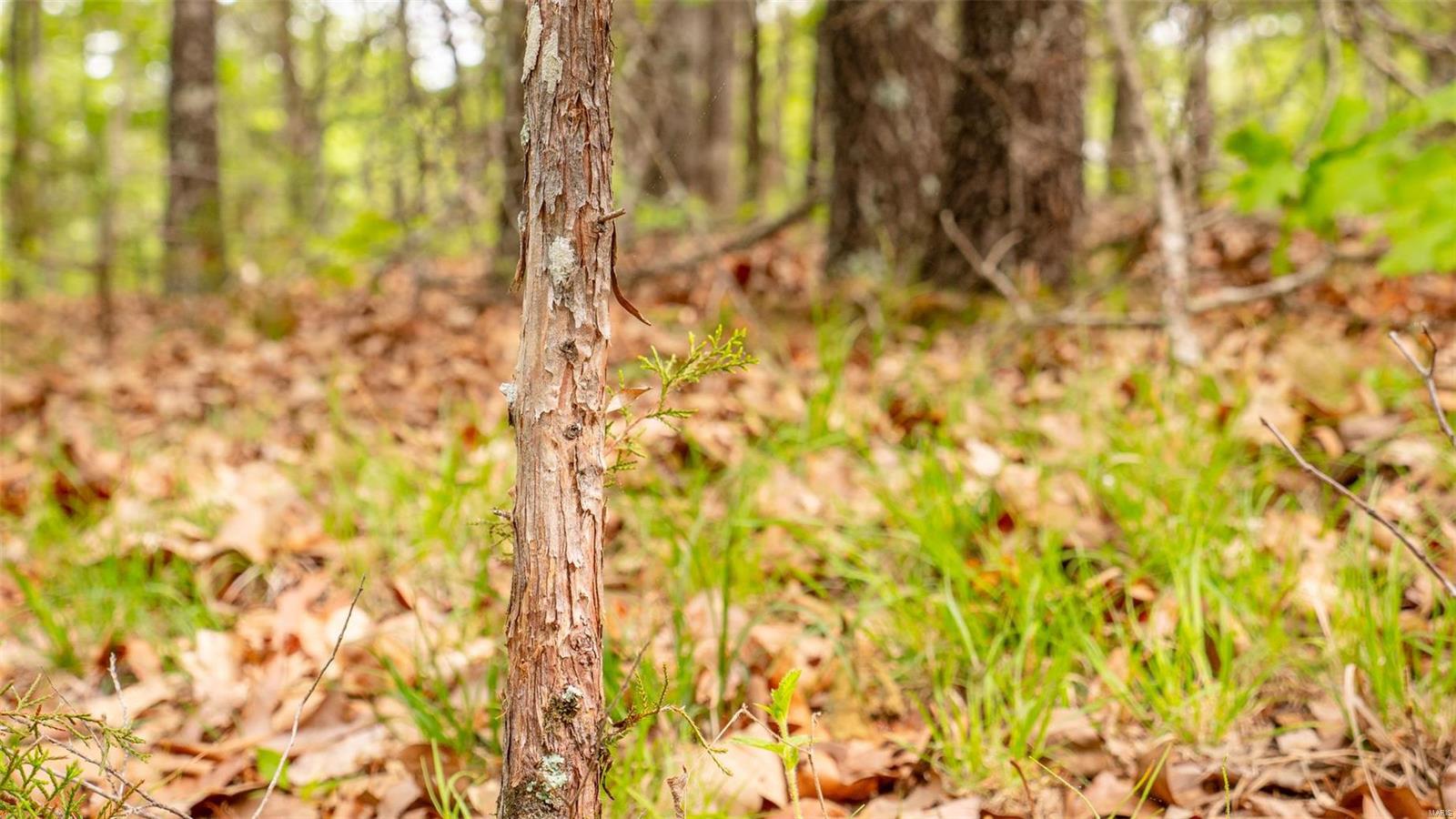 0 Tappmeyer Road Owensville, MO 65066 - Photo 35 of 60