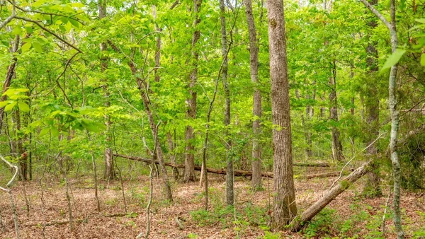 $416,500 | 0 Tappmeyer Road, Owensville, MO 65066