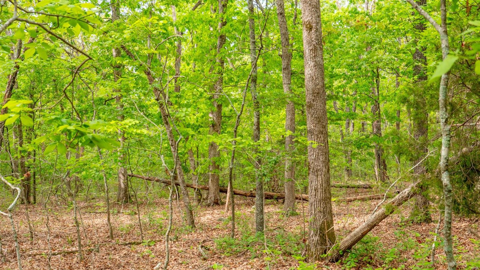 0 Tappmeyer Road Owensville, MO 65066 - Photo 37 of 60