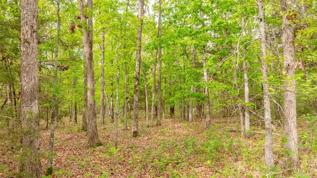 $416,500 | 0 Tappmeyer Road, Owensville, MO 65066