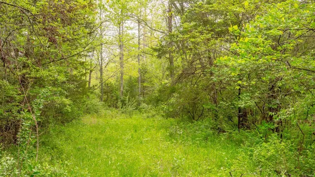 $416,500 | 0 Tappmeyer Road, Owensville, MO 65066