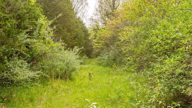 $416,500 | 0 Tappmeyer Road, Owensville, MO 65066