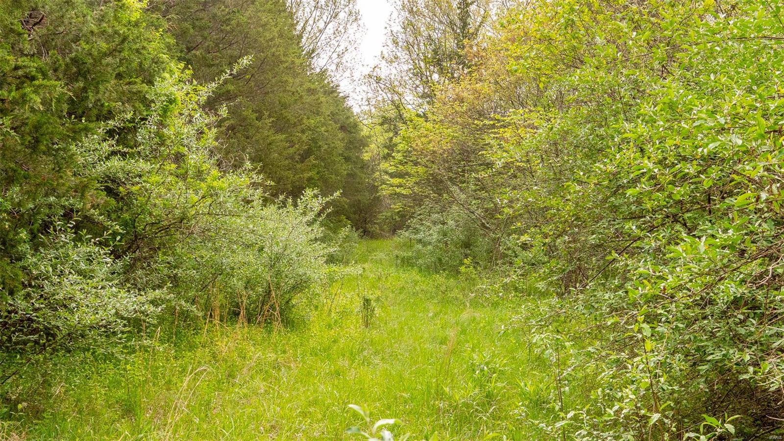 0 Tappmeyer Road Owensville, MO 65066 - Photo 44 of 60