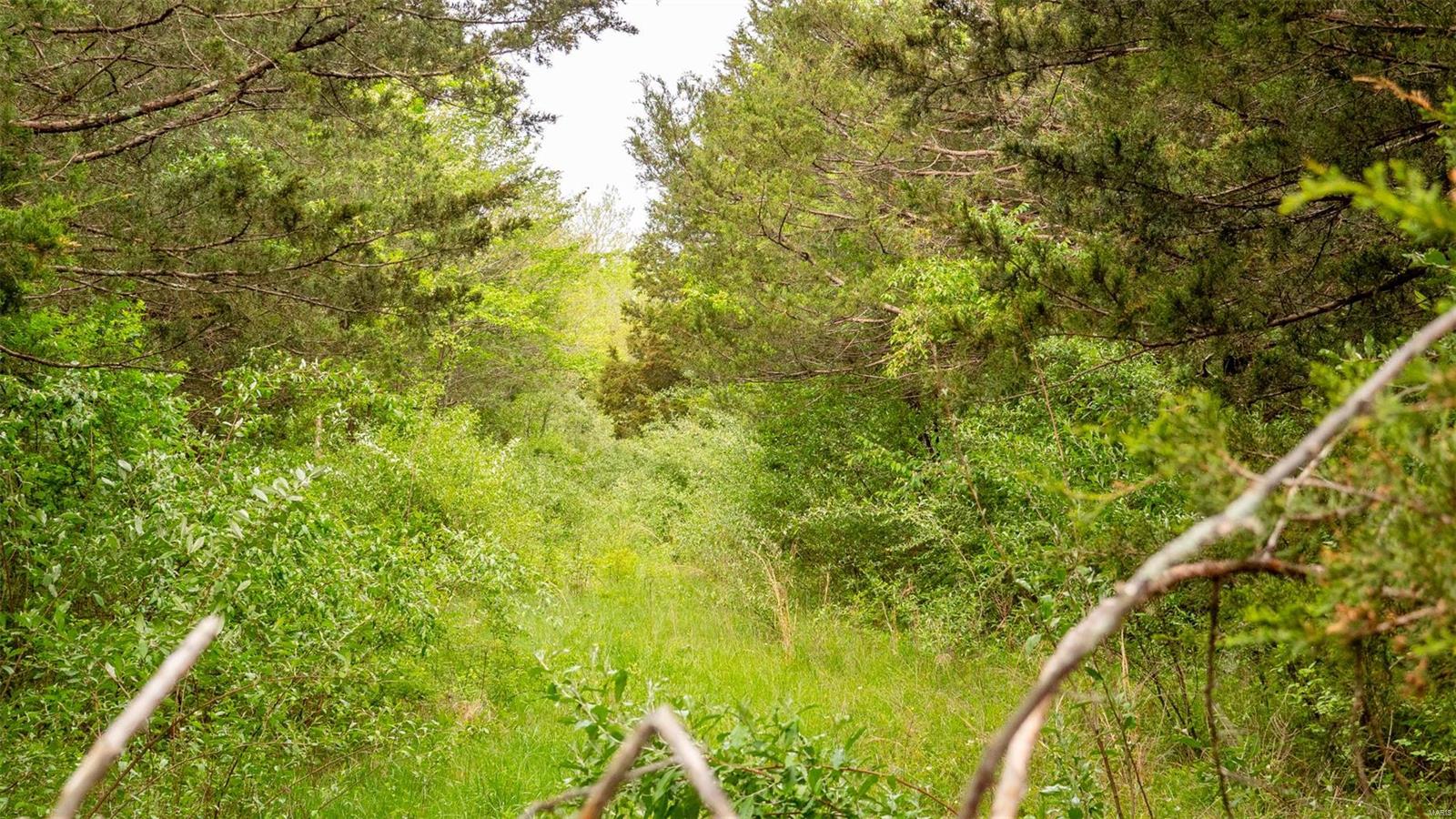 0 Tappmeyer Road Owensville, MO 65066 - Photo 45 of 60