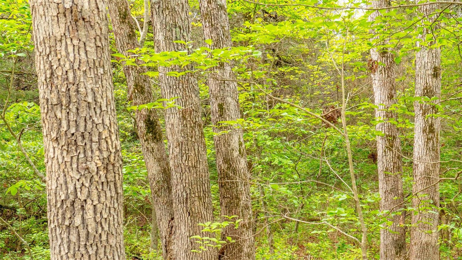 0 Tappmeyer Road Owensville, MO 65066 - Photo 48 of 60