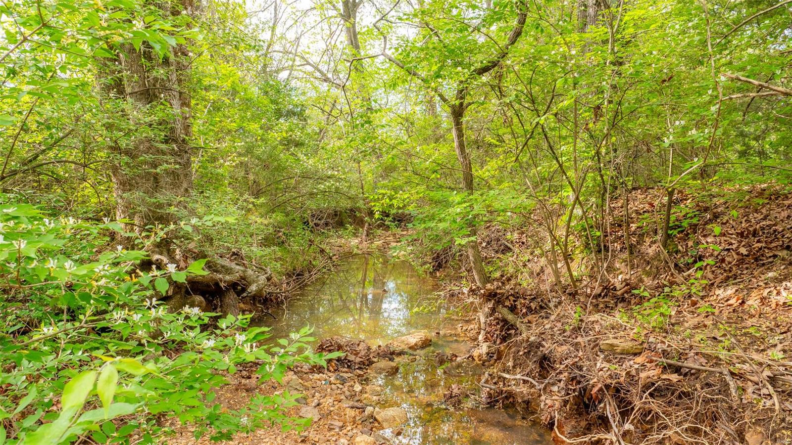 0 Tappmeyer Road Owensville, MO 65066 - Photo 50 of 60