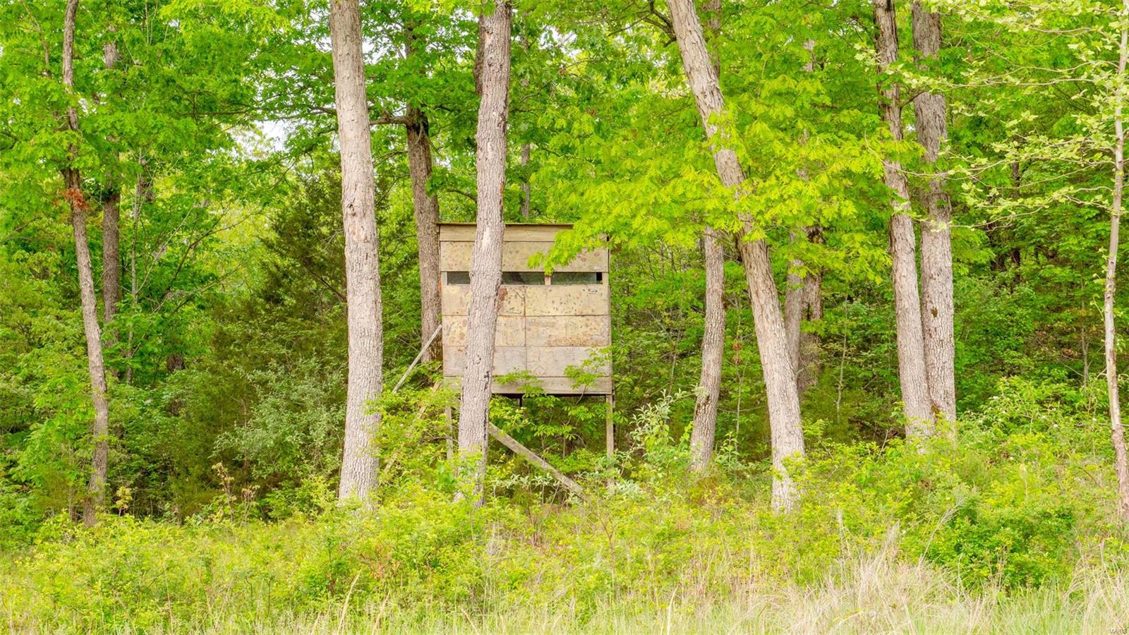 0 Tappmeyer Road Owensville, MO 65066 - Photo 52 of 60