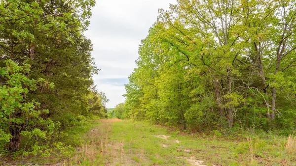 $416,500 | 0 Tappmeyer Road, Owensville, MO 65066