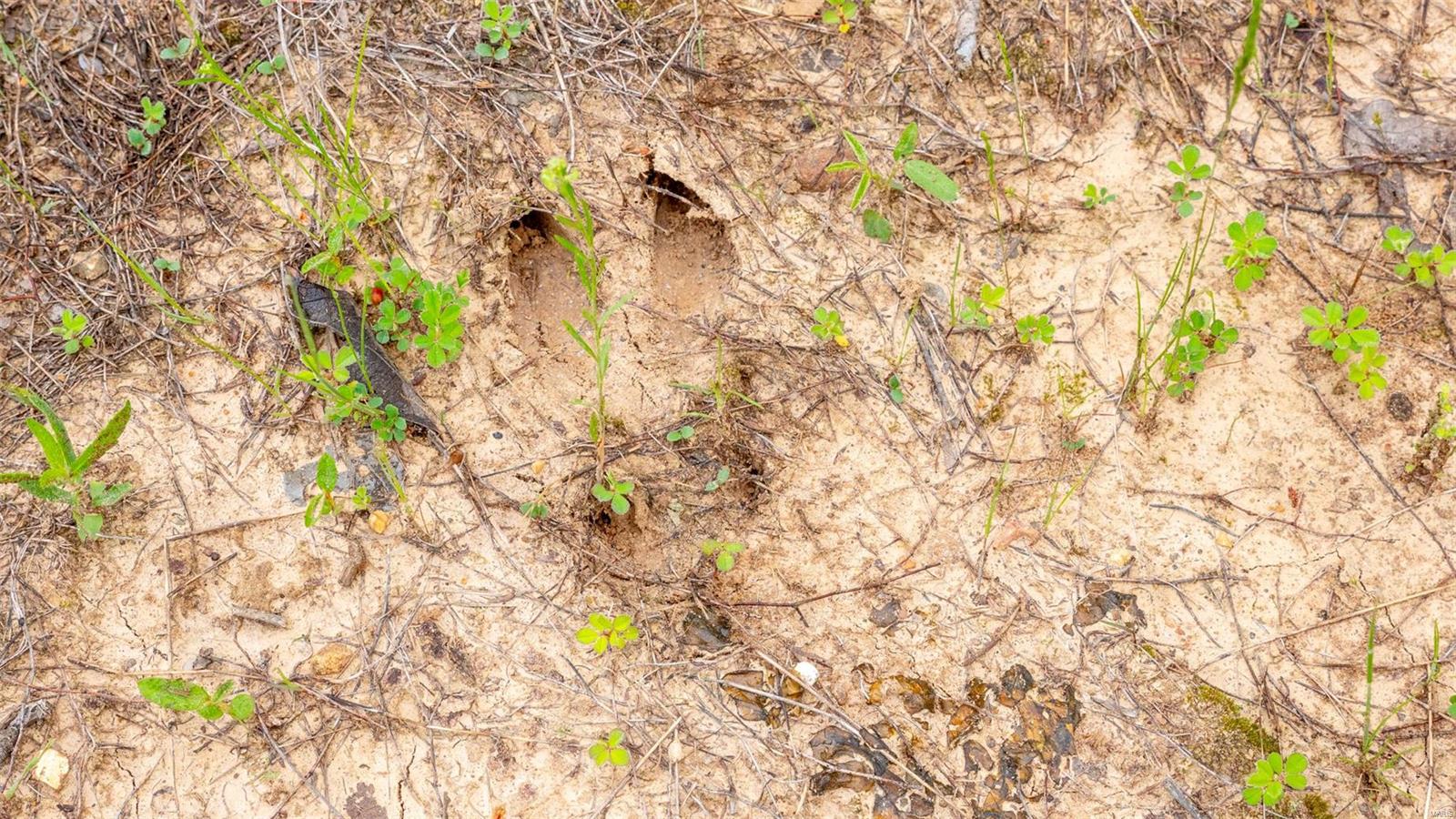 0 Tappmeyer Road Owensville, MO 65066 - Photo 57 of 60