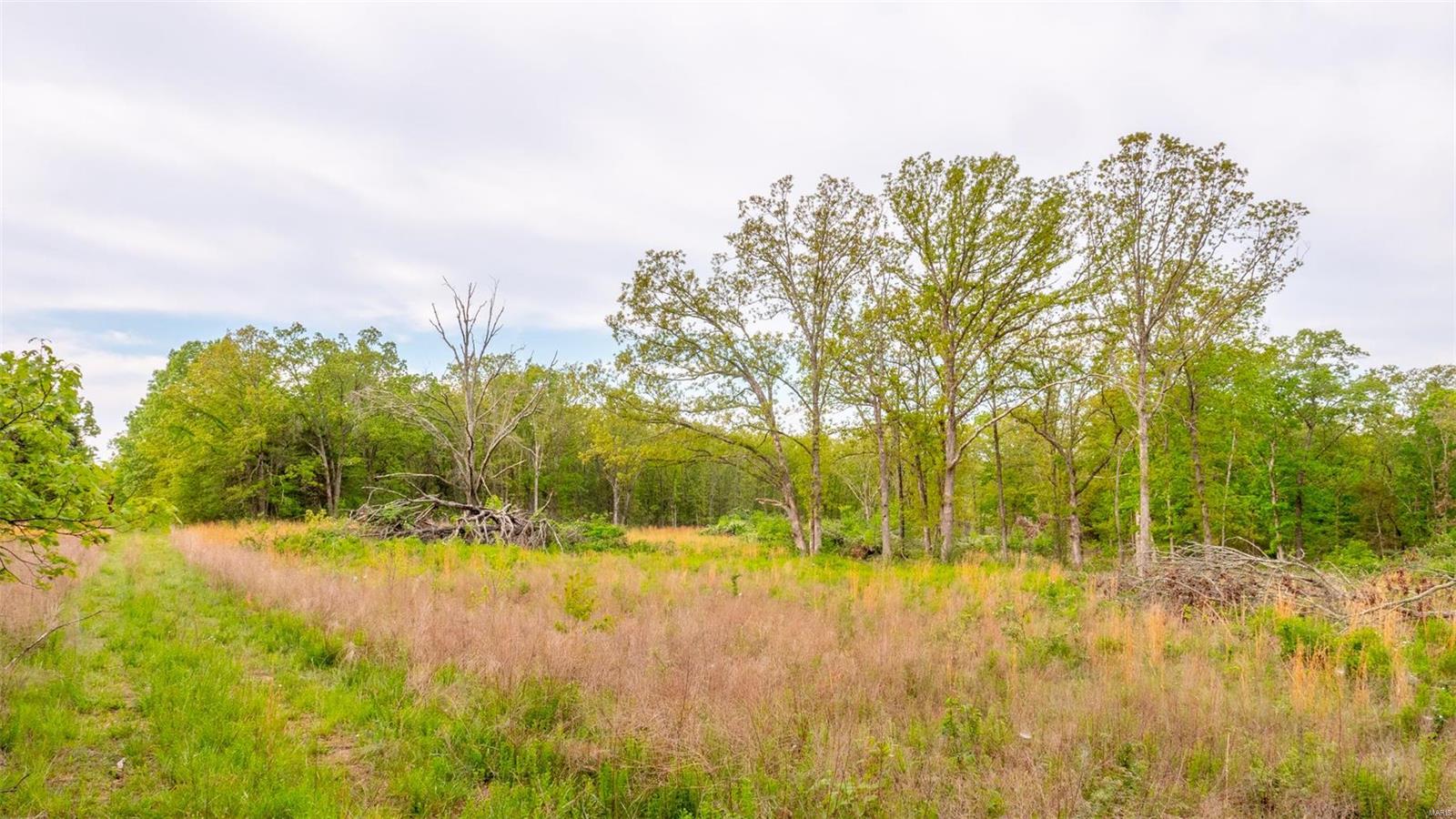 0 Tappmeyer Road Owensville, MO 65066 - Photo 59 of 60