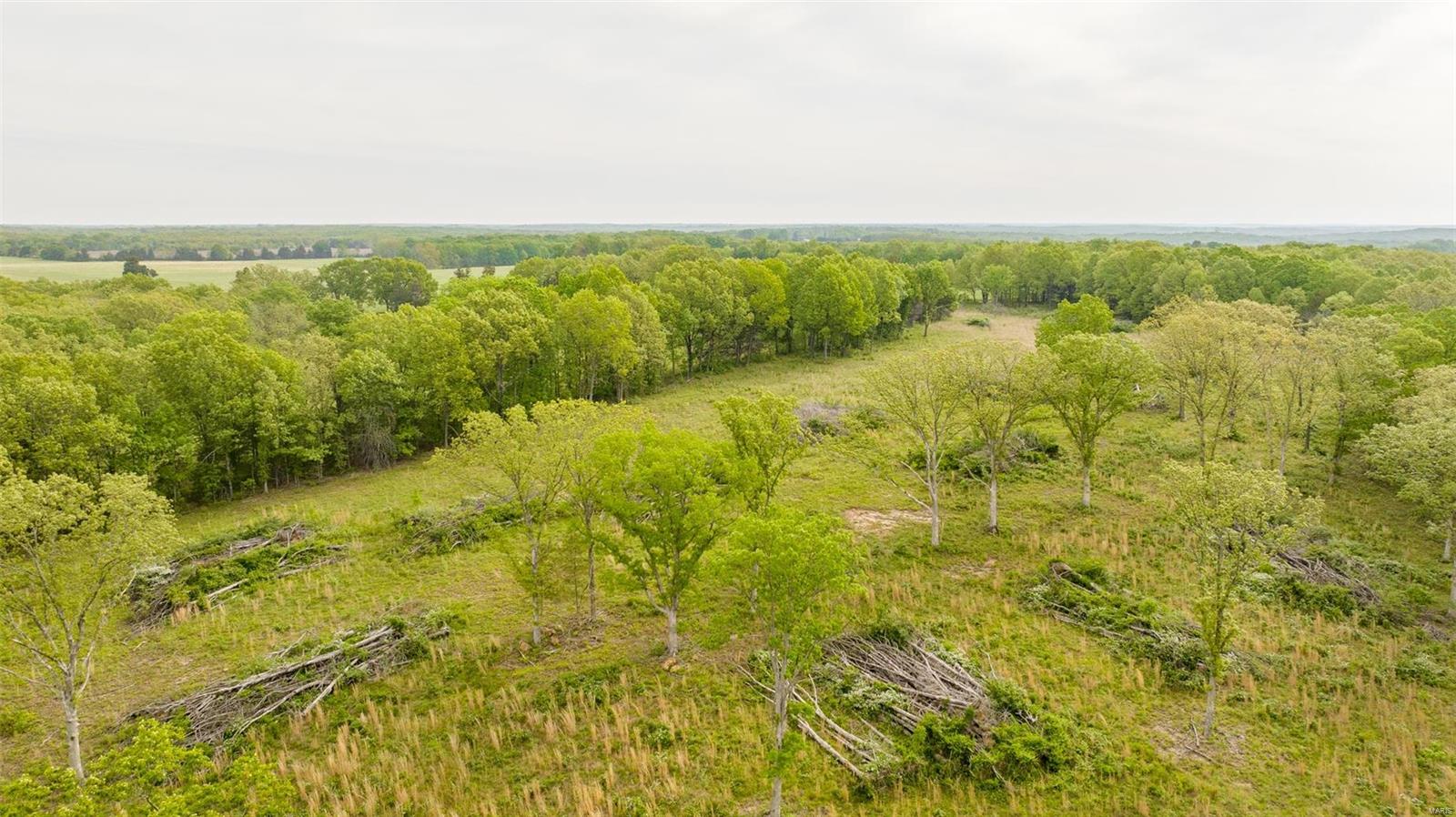 0 Tappmeyer Road Owensville, MO 65066 - Photo 9 of 60