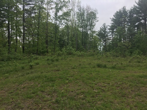 161 Middle Road Deerfield, NH 03037 - Photo 13 of 14
