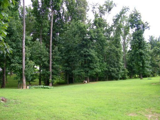 4266 Pea Ridge Road Maryville, TN 37804 - Photo 2 of 18 Additional Photo