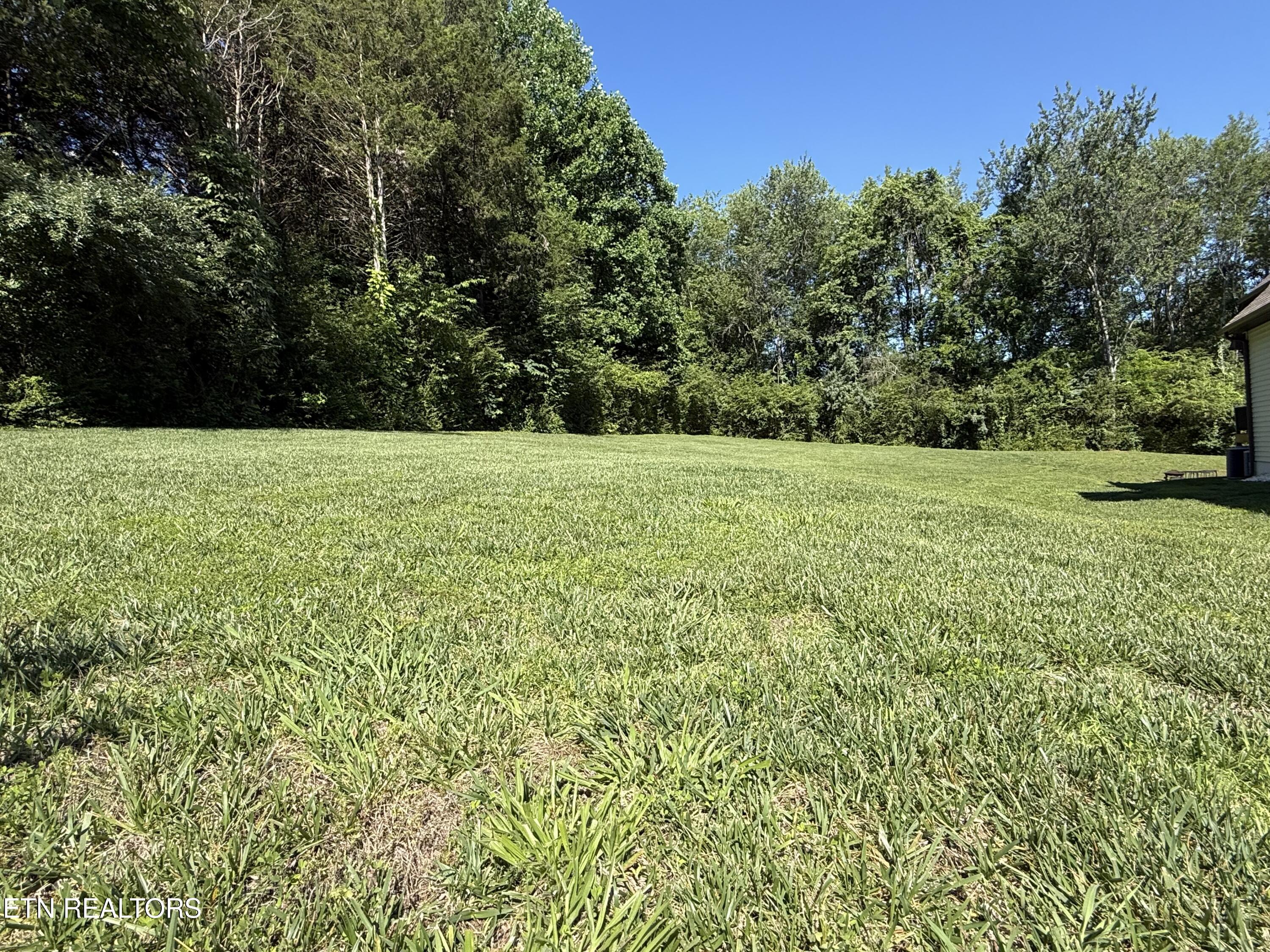 208 Mingo Way Loudon, TN 37774 - Photo 5 of 5 IMG_5224