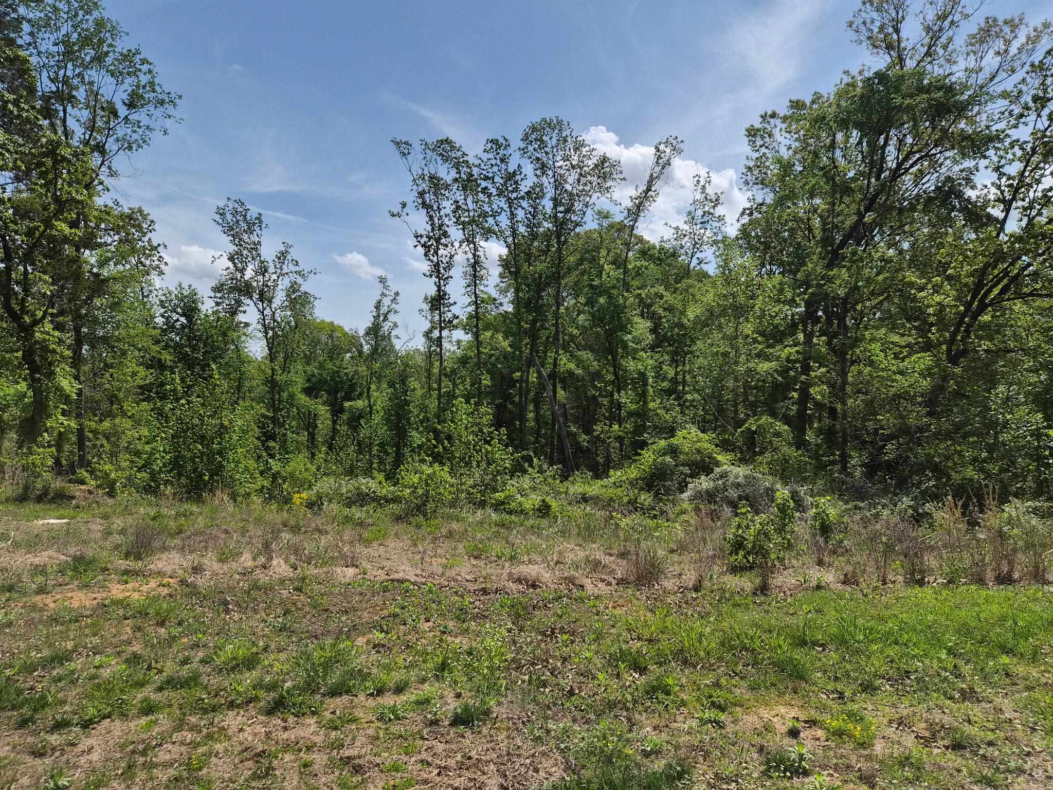 510 Potts Chapel Road Jackson, TN 38305 - Photo 30 of 30 View of woods