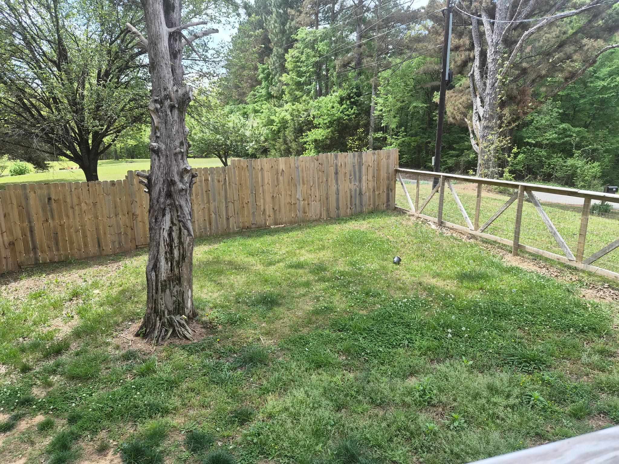 510 Potts Chapel Road Jackson, TN 38305 - Photo 3 of 30 View of fenced backyard