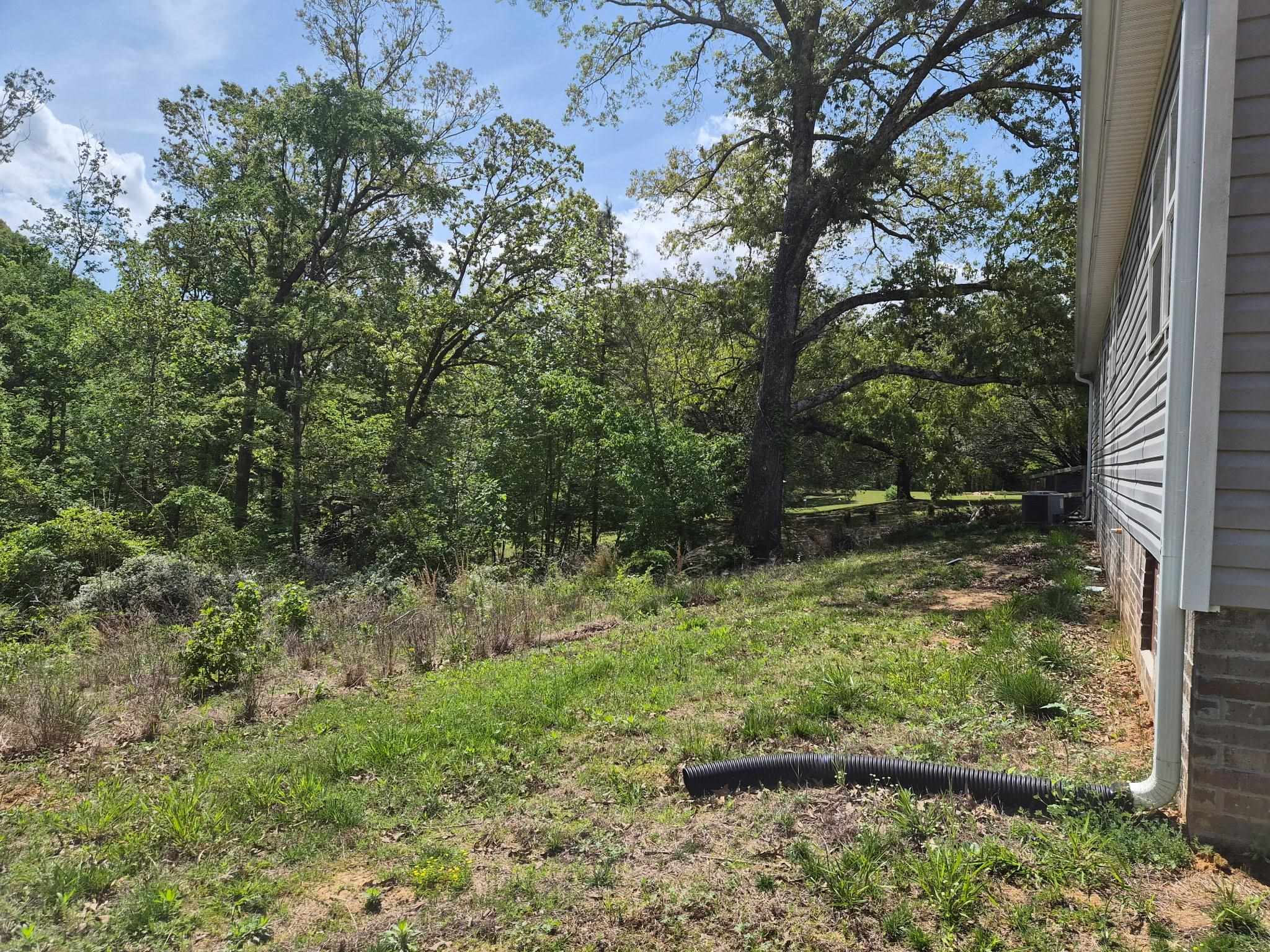 510 Potts Chapel Road Jackson, TN 38305 - Photo 4 of 30 View of yard
