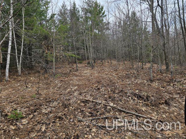 40-acres 40-acres Off Co Road Ishpeming, MI 49849 - Photo 1 of 4