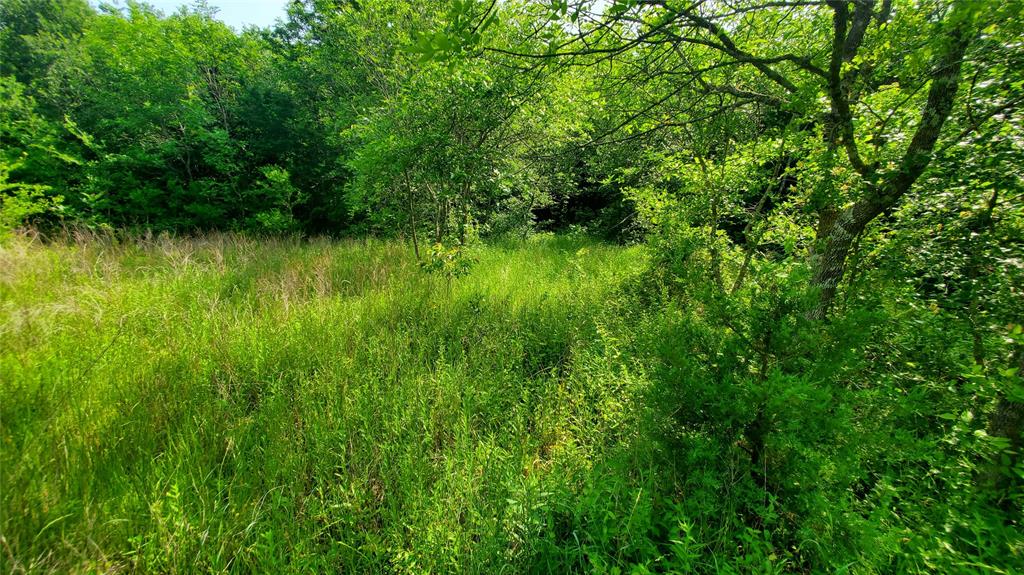 9999 Private Road, Unit 1194 Celeste, TX 75423 - Photo 4 of 18