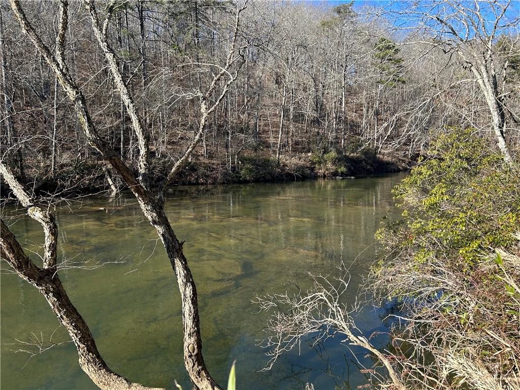 0 Twin River Orchard Road Demorest, GA 30535 - Photo 43 of 63
