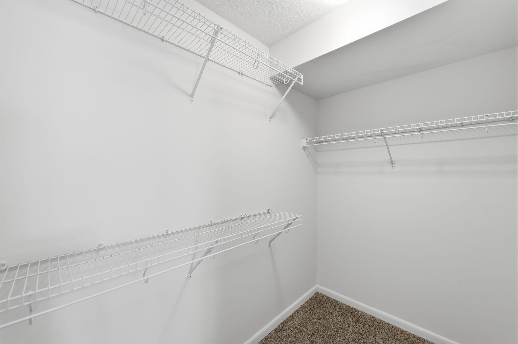 402 Napa Valley, Unit 203 Cold Spring, KY 41076 - Photo 15 of 33 Walk in closet