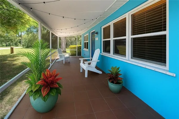 a potted plant sitting in front of a building