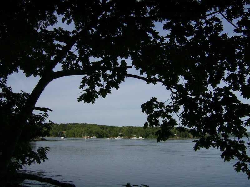 667 Castine Road Castine, ME 04421 - Photo 8 of 27 Waterfront/Dock/Pier. Looking toward...