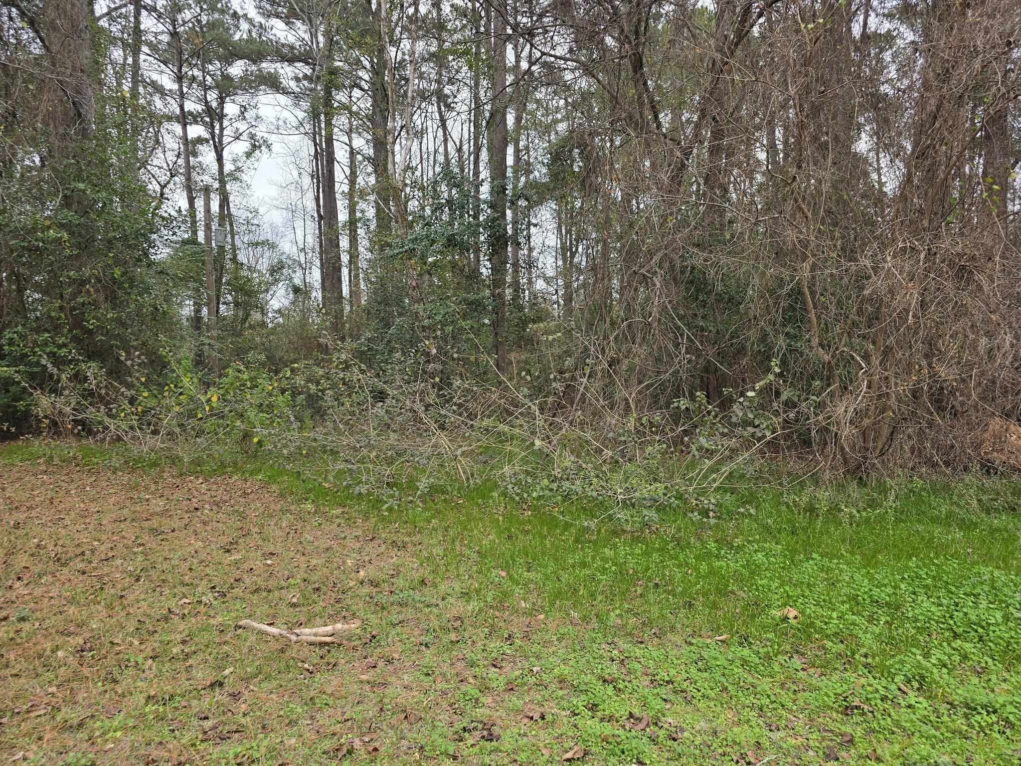 357 Lucas Road Brookeland, TX 75931 - Photo 1 of 2