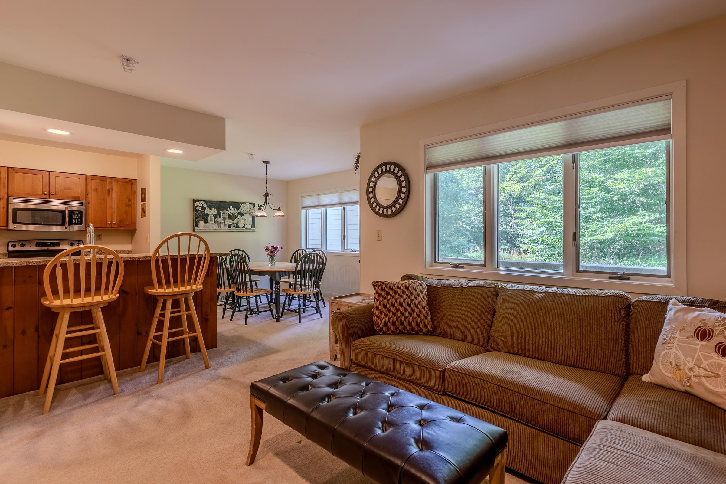 65 East Birch Road, Unit 43 Stratton, VT 05155 - Photo 20 of 31