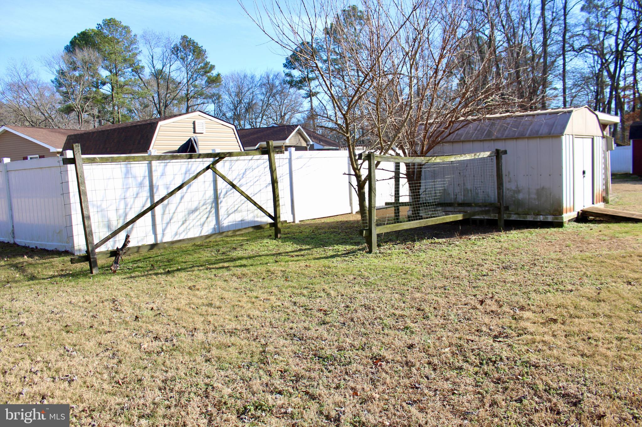 7179 Walston Switch Road Parsonsburg, MD 21849 - Photo 5 of 32 Spacious yard with a charming shed.
