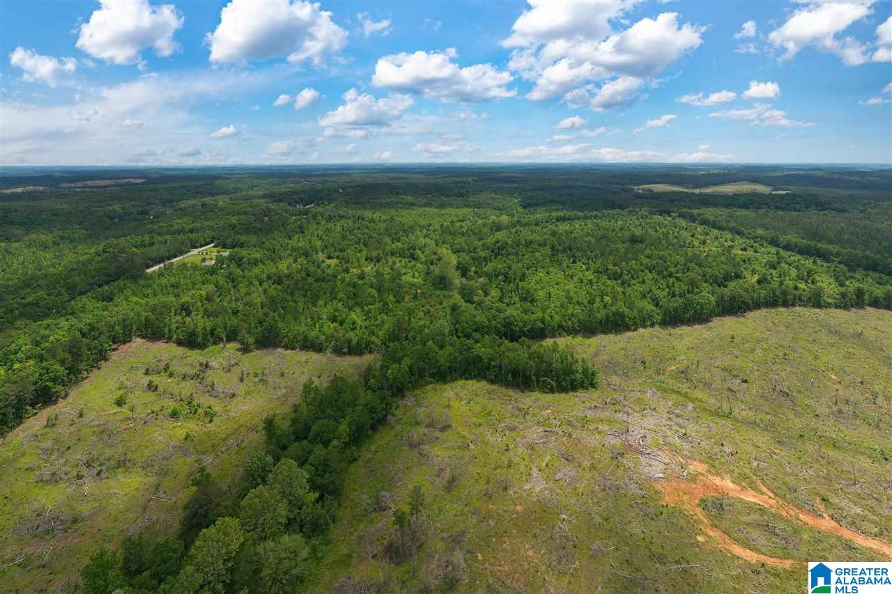 5936 Montevallo Road Centreville, AL 35042 - Photo 17 of 35