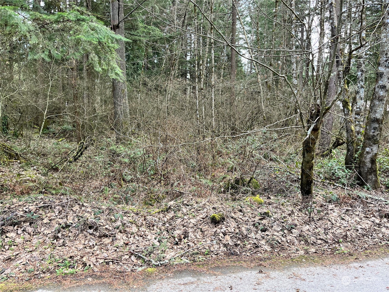 0 113th Avenue East Graham, WA 98338 - Photo 1 of 5