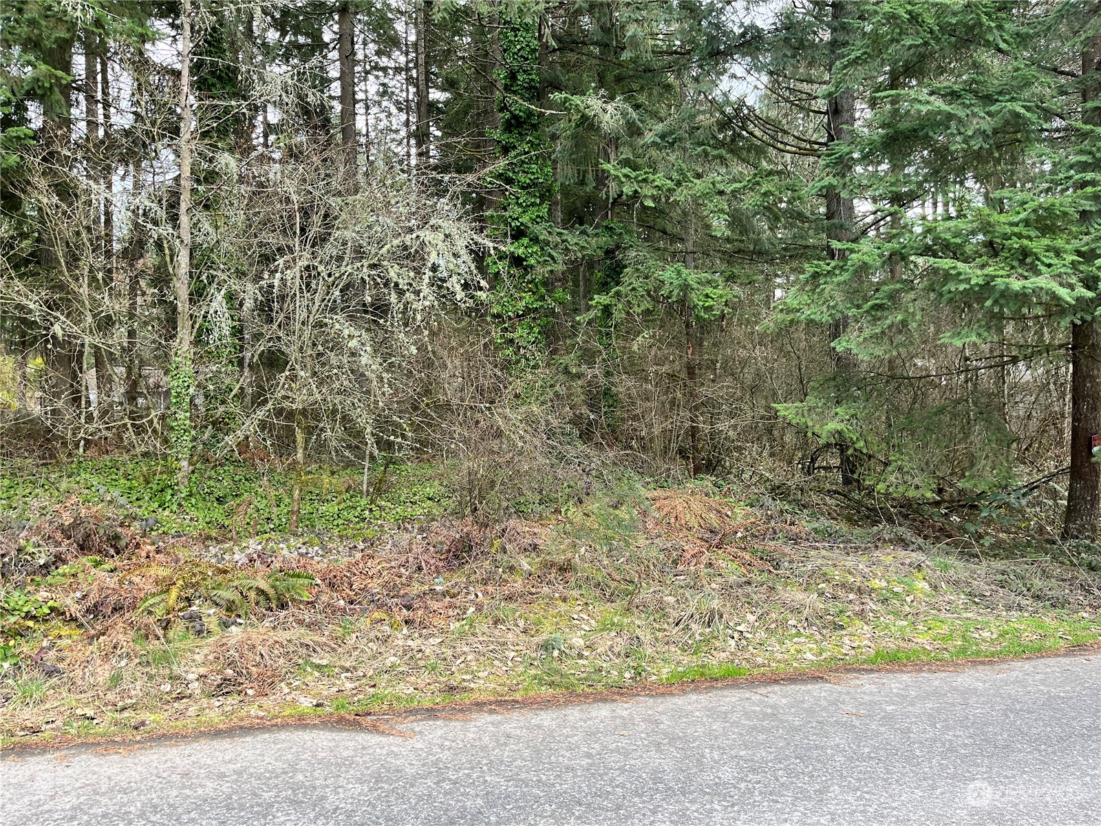 0 113th Avenue East Graham, WA 98338 - Photo 5 of 5 a view of a yard with plants and wooden fence
