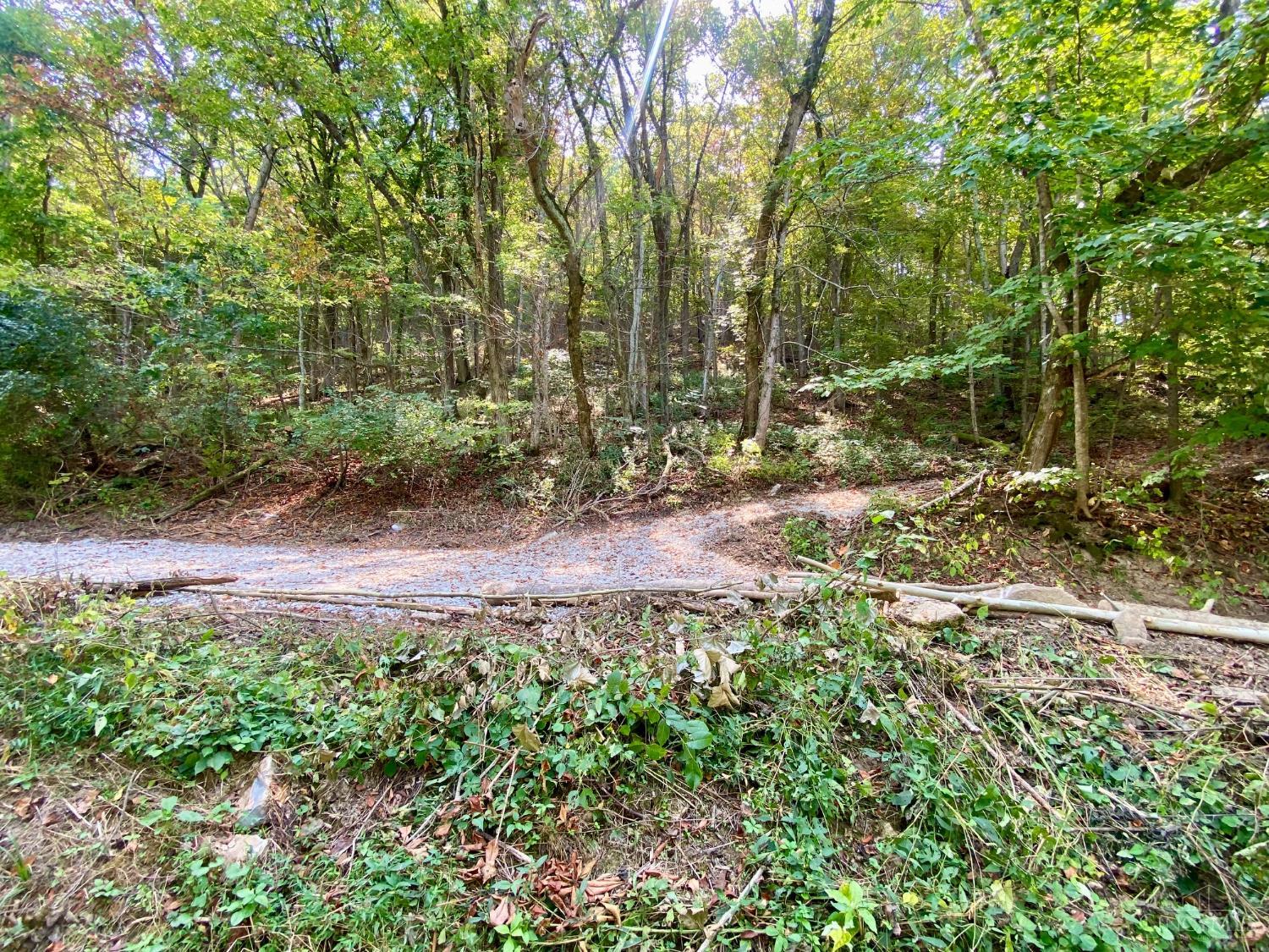 Ac Eagle Creek Road Ripley, OH 45167 - Photo 10 of 12
