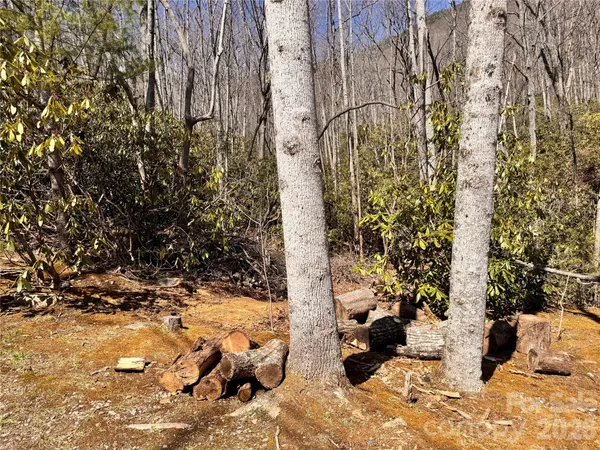 view of a yard with wooden fence