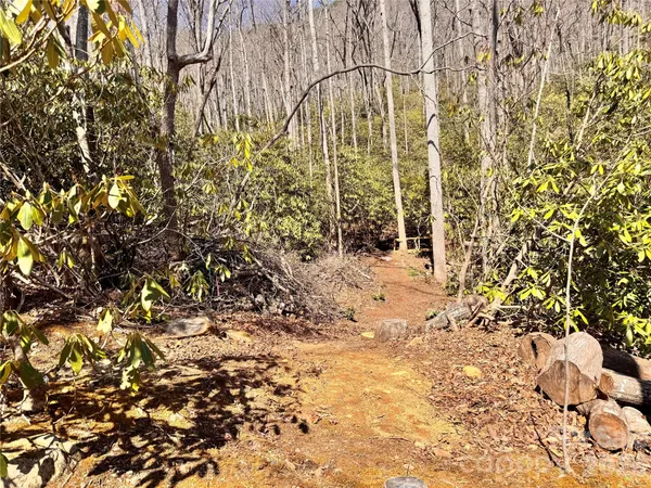 a view of a backyard of the house