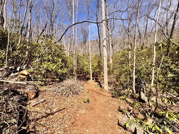 a backyard of a house with a tree