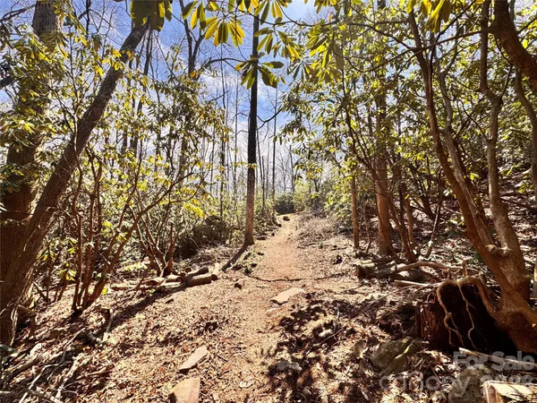 $165,000 | 212 Harmony Lane, Unit 1142, Black Mountain, NC 28711