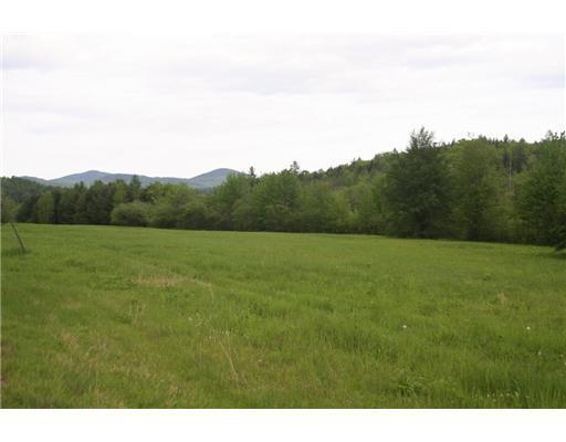 Lot 1 Andover Road Rumford, ME 04276 - Photo 4 of 8 Land/Lot.